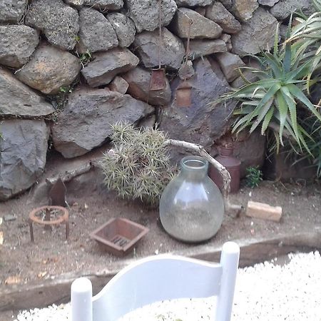 Il Tarlo Bed & Breakfast Seneghe Exterior foto