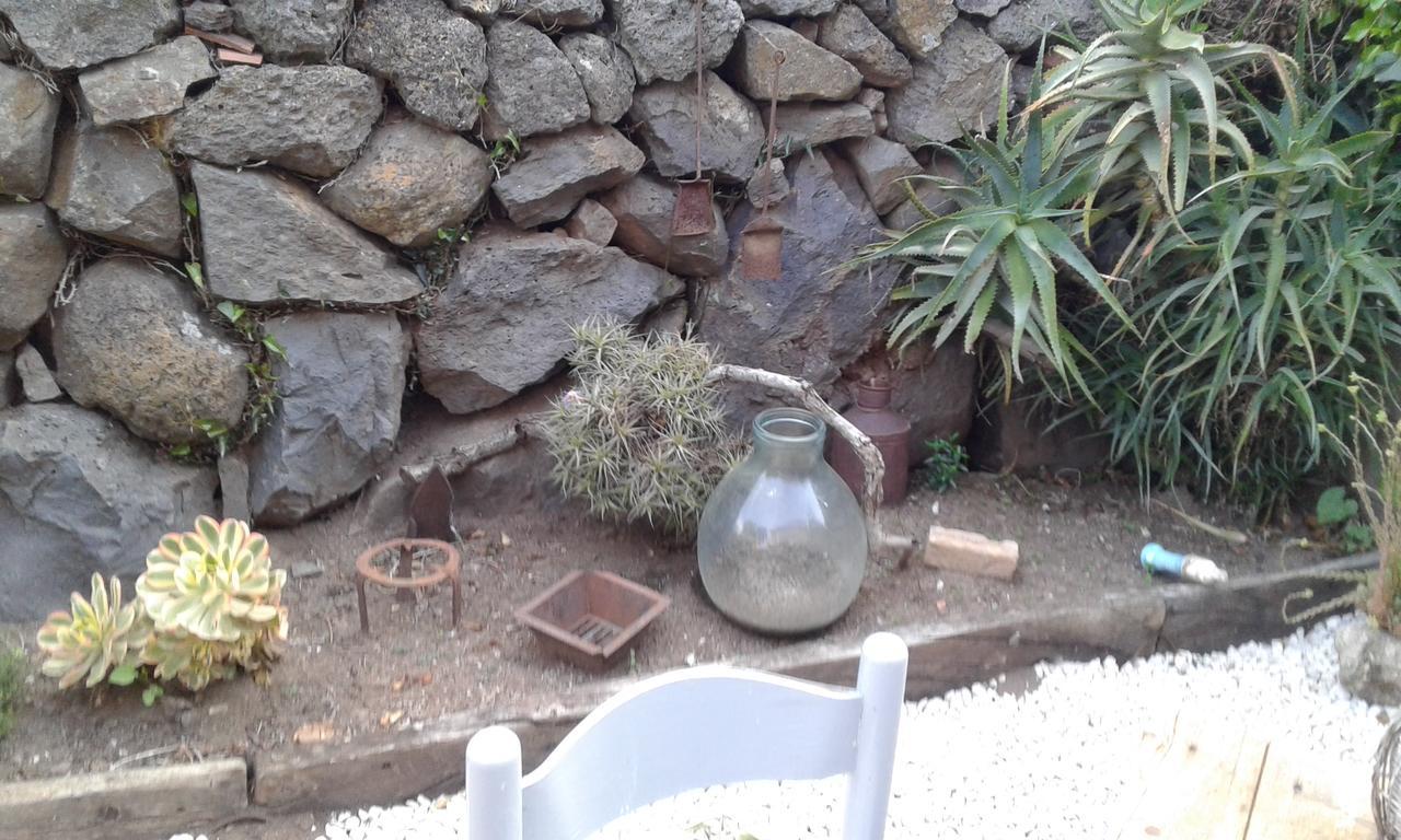 Il Tarlo Bed & Breakfast Seneghe Exterior foto