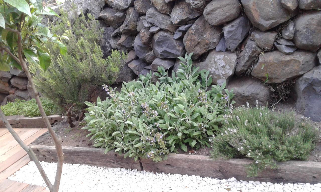 Il Tarlo Bed & Breakfast Seneghe Exterior foto